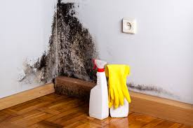  Sachse, TX Mold Inspection Pros